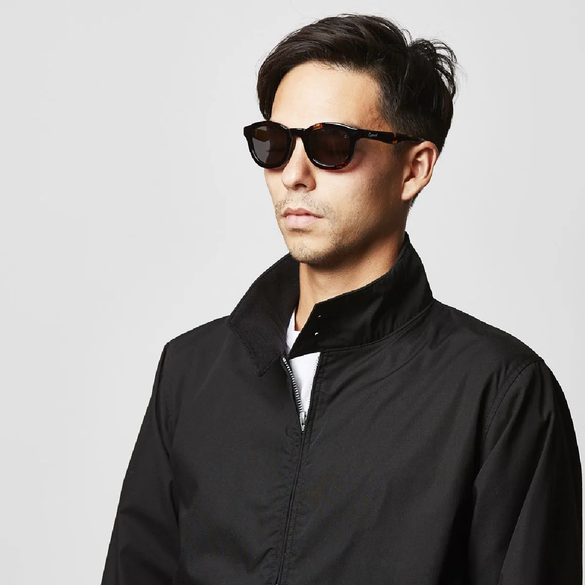 Standing collar around the neck (dog ear color)